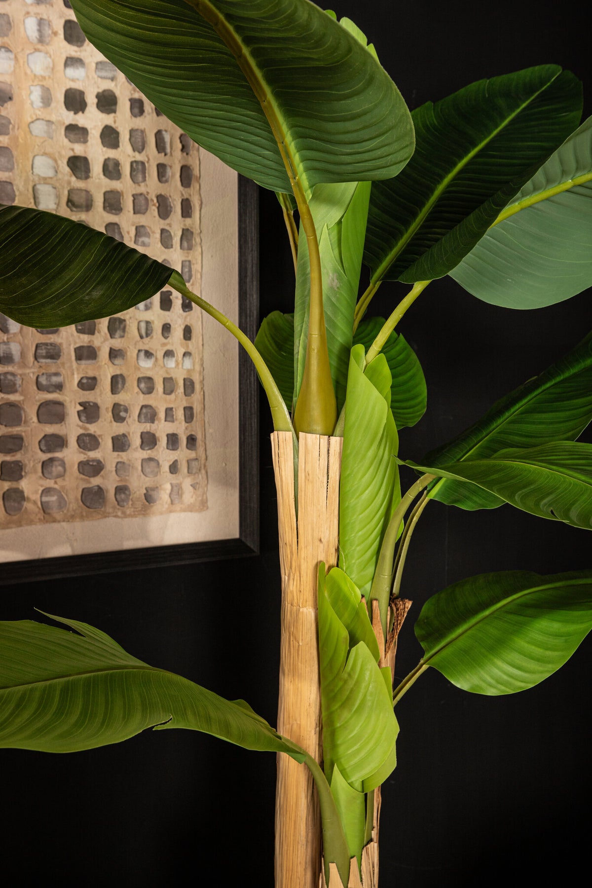 Tree Green PE Real Touch Banano S 110x108x155cm PTMD