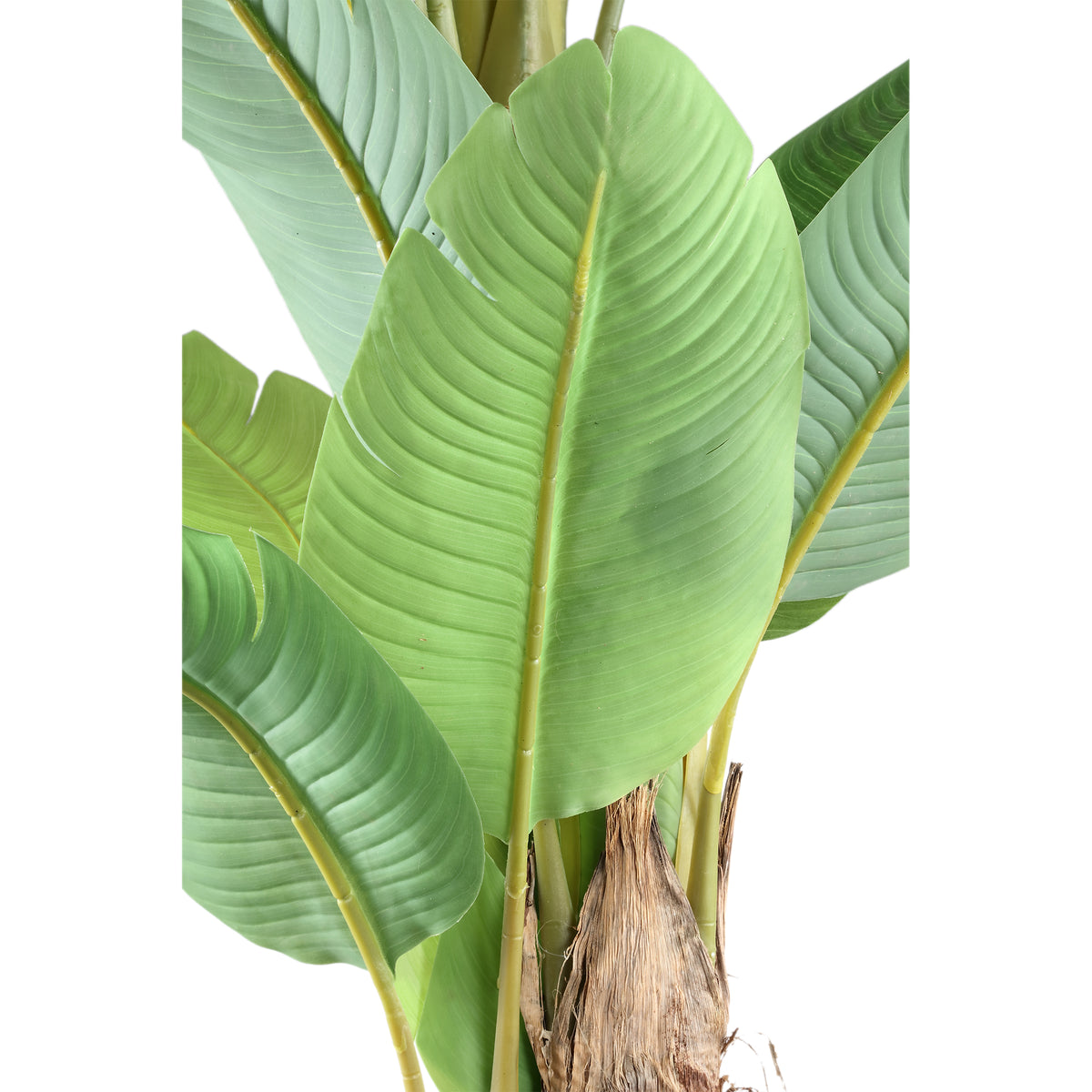Tree Green PE Real Touch Banano L 170x163x280cm PTMD