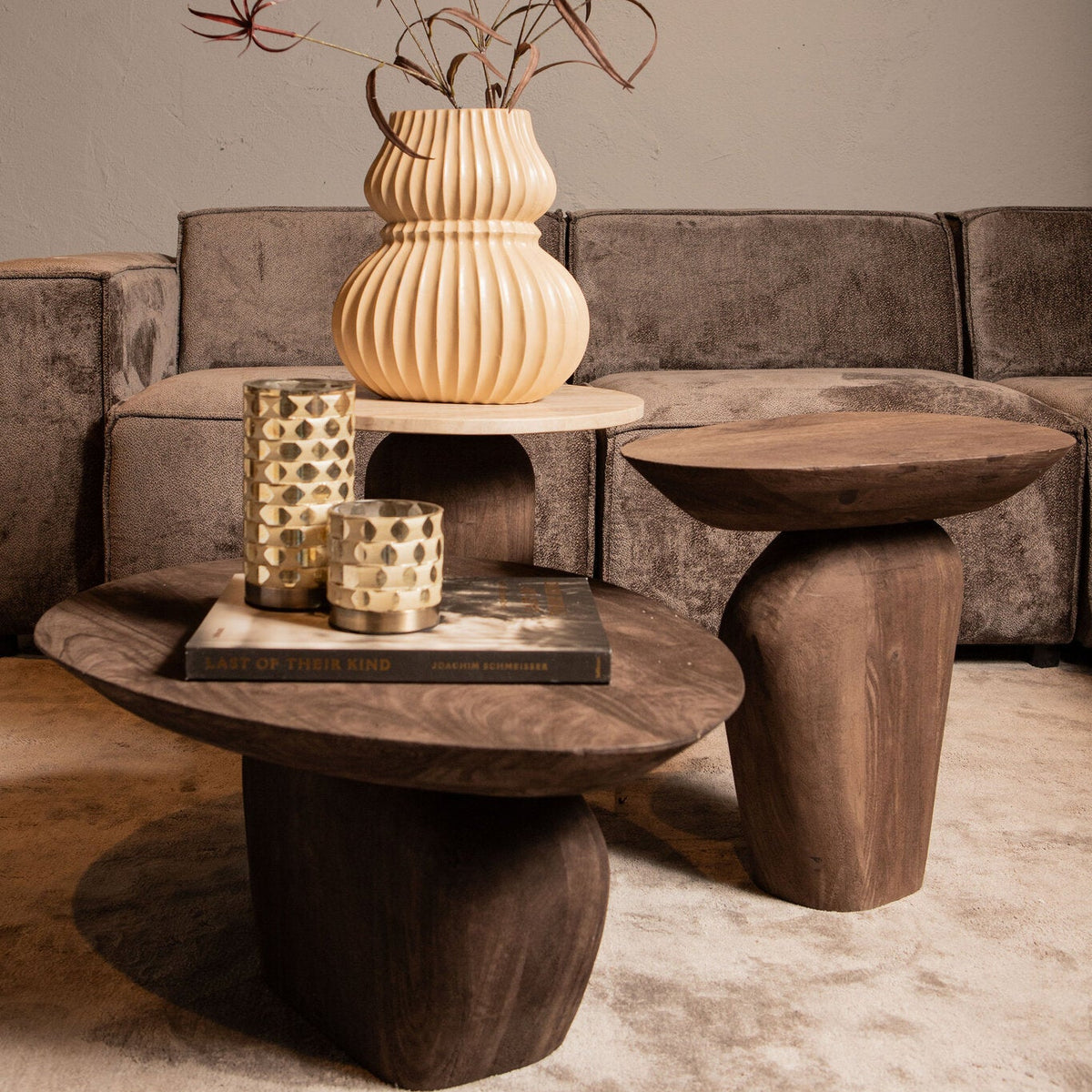 Tavolino Harshad in legno di mango marrone, forme organiche, PTMD