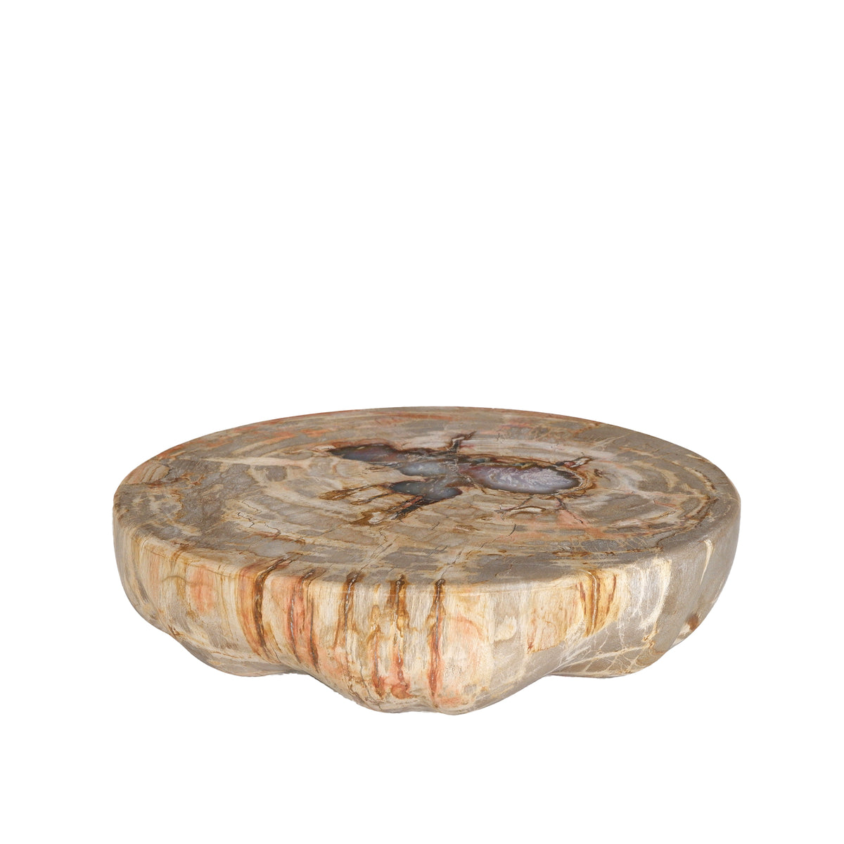 Espositore a semispfera in legno pietrificato naturale Bethe L PTMD