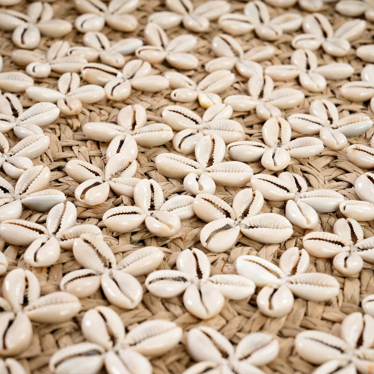 Il piatto Costa Shell - Bianco naturale - M Bazar Bizar
