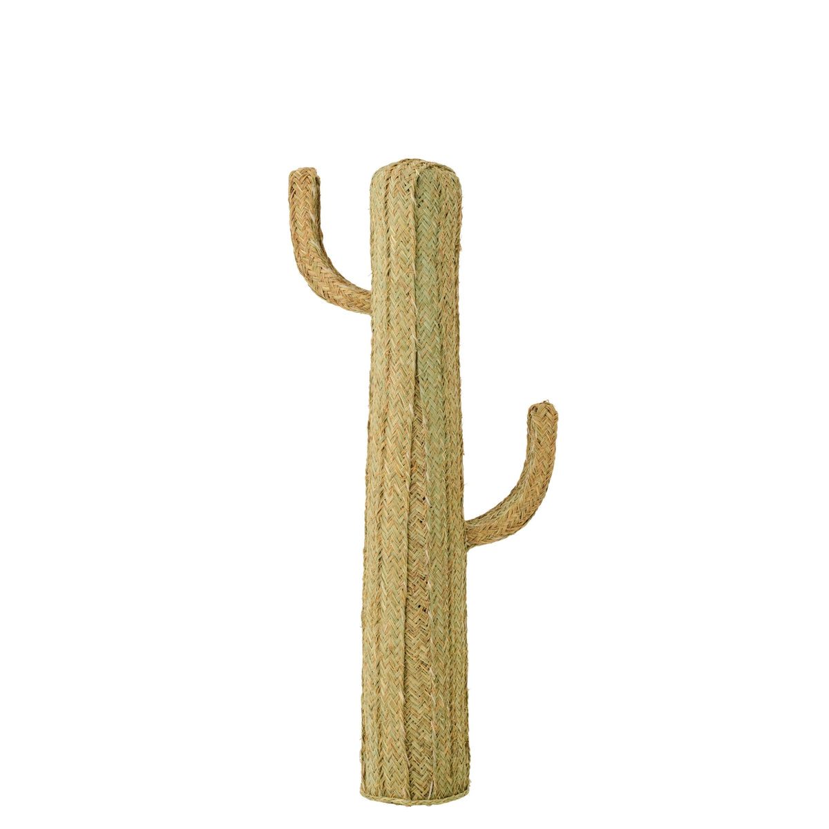 Cactus Erba Naturale Large J-Line