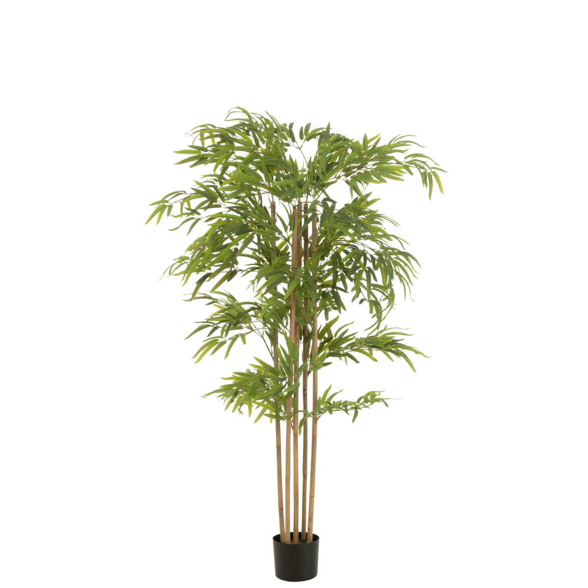 Bambù in vaso in plastica verde H150 cm J-Line