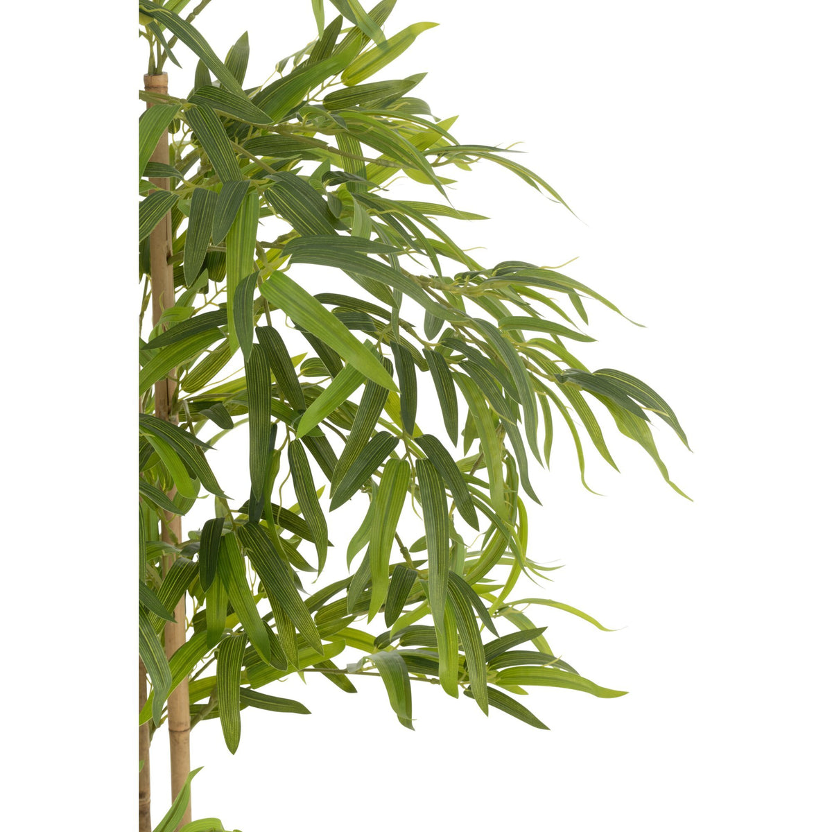 Bambù in vaso in plastica verde H150 cm J-Line