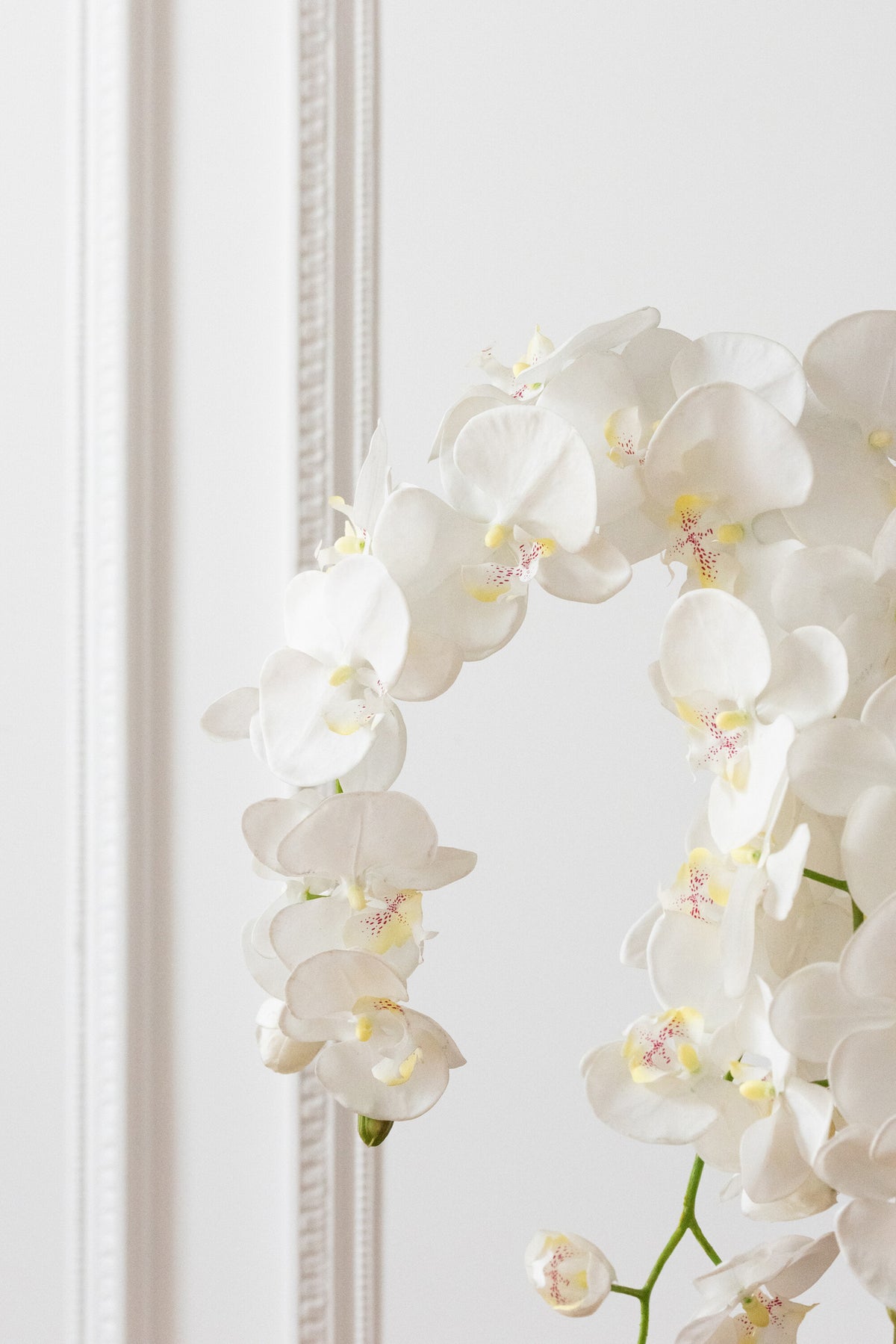 Orchidea In Terra Plastica Bianca/Verde Large 32x32x75cm