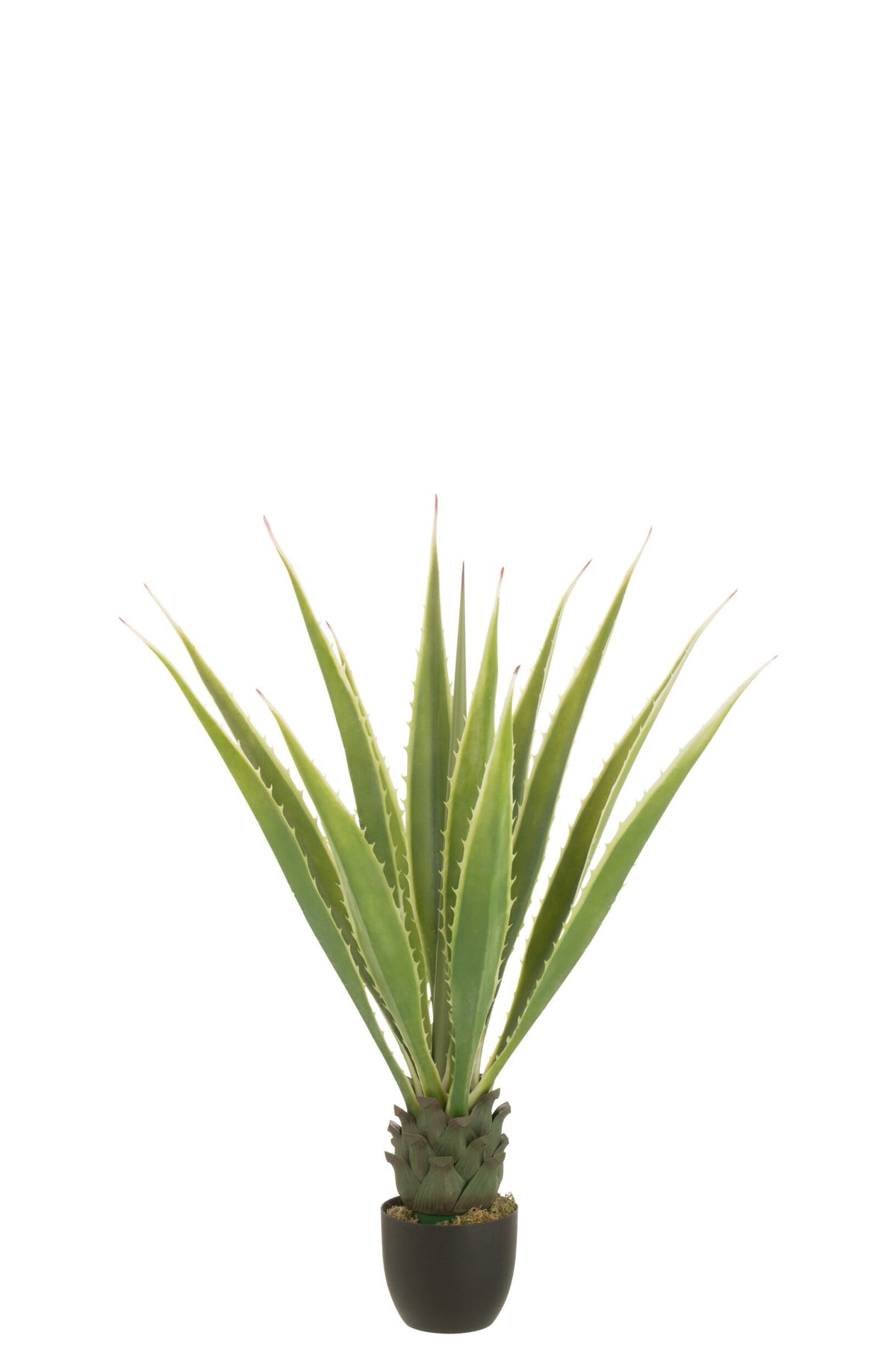 Agave bianco sporco verde artificiale 80x80x150cm