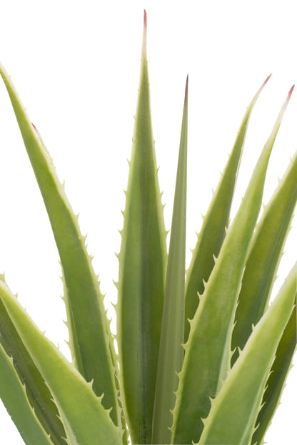 Agave bianco sporco verde artificiale 80x80x150cm