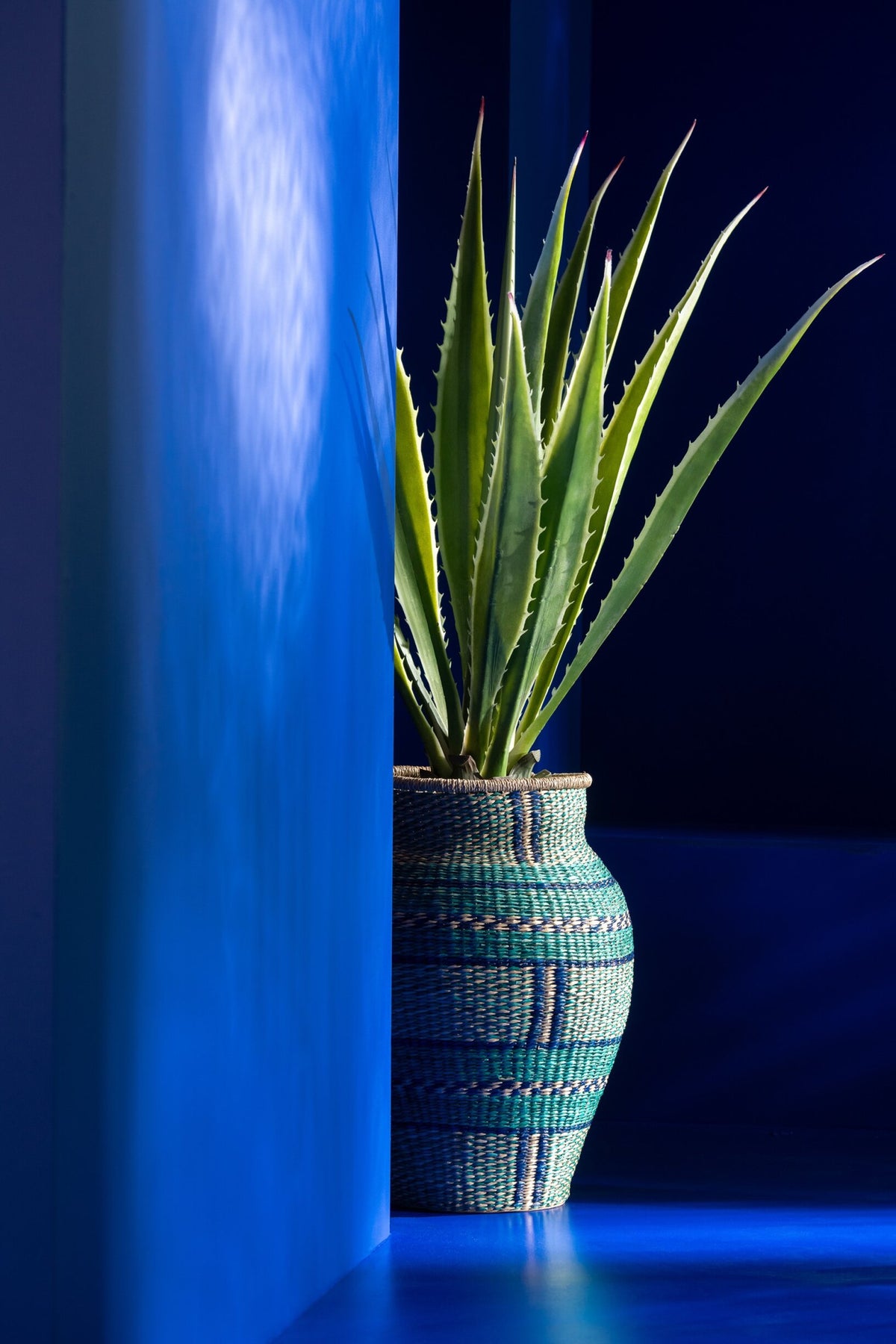 Agave bianco sporco verde artificiale 80x80x150cm
