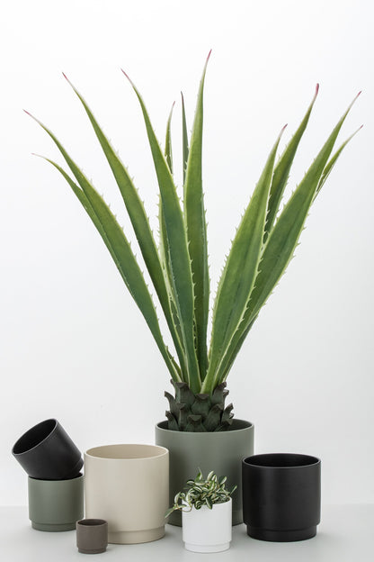 Agave bianco sporco verde artificiale 80x80x150cm