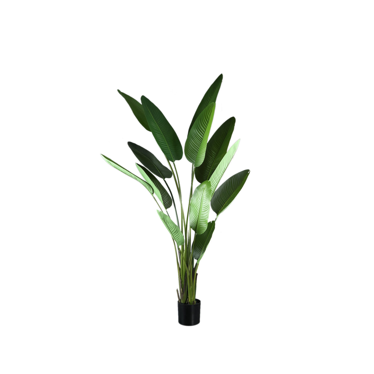 Pianta artificiale verde in PE Real Touch Strelitzia L 110x63x235cm PTMD