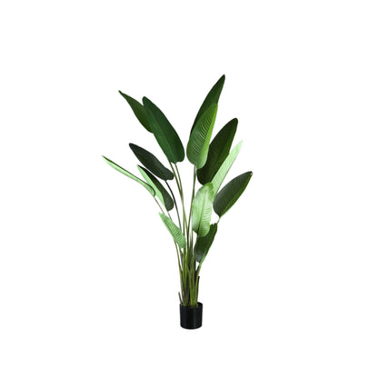 Pianta artificiale verde in PE Real Touch Strelitzia L 110x63x235cm PTMD