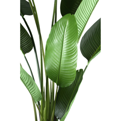 Pianta artificiale verde in PE Real Touch Strelitzia L 110x63x235cm PTMD
