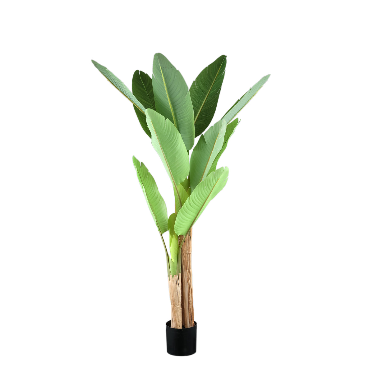 Tree Green PE Real Touch Banano S 110x108x155cm PTMD