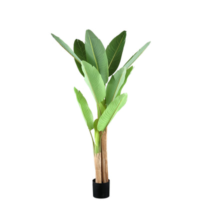 Tree Green PE Real Touch Banano S 110x108x155cm PTMD