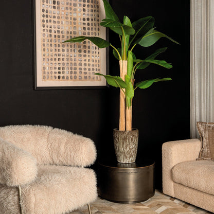 Tree Green PE Real Touch Banano S 110x108x155cm PTMD