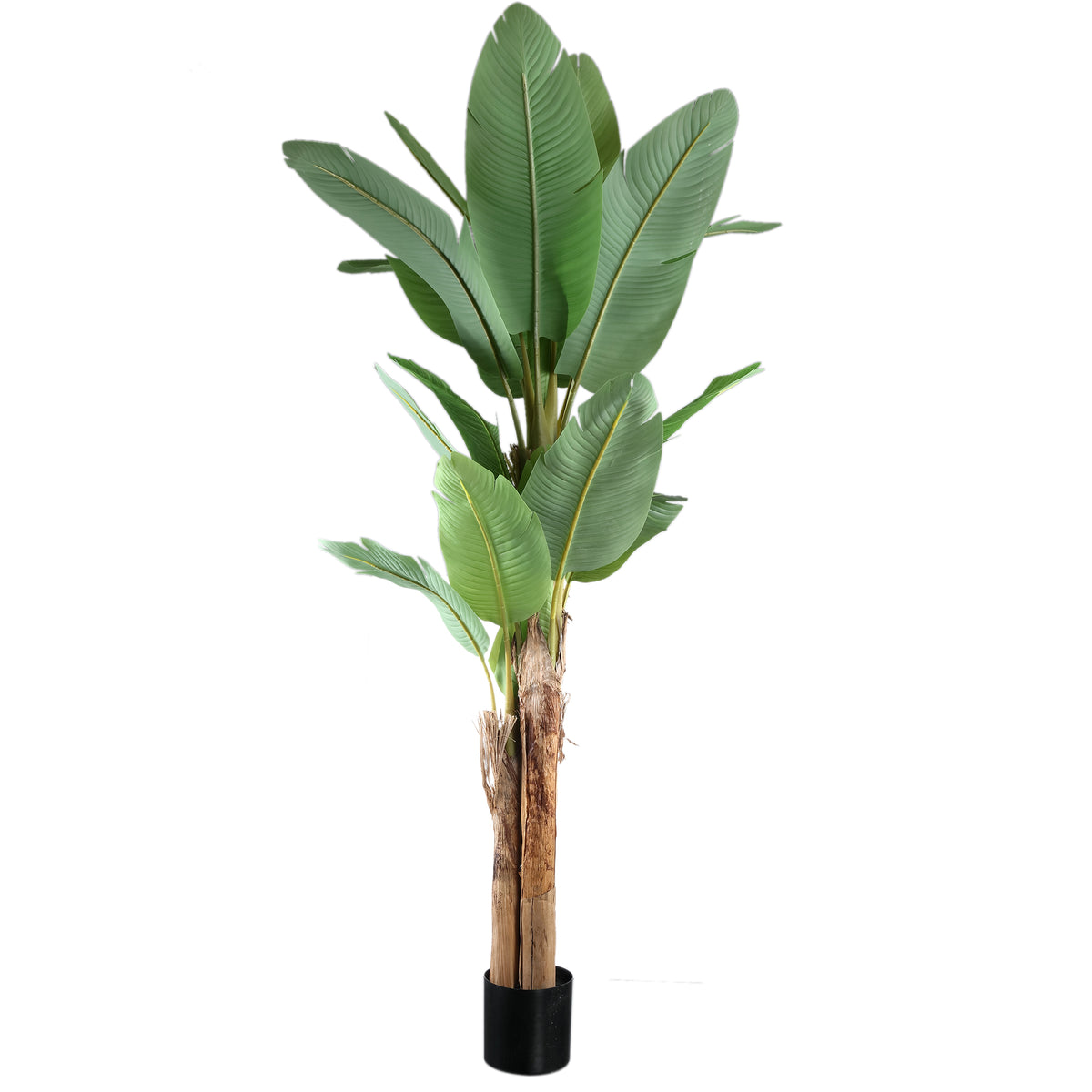 Tree Green PE Real Touch Banano L 170x163x280cm PTMD