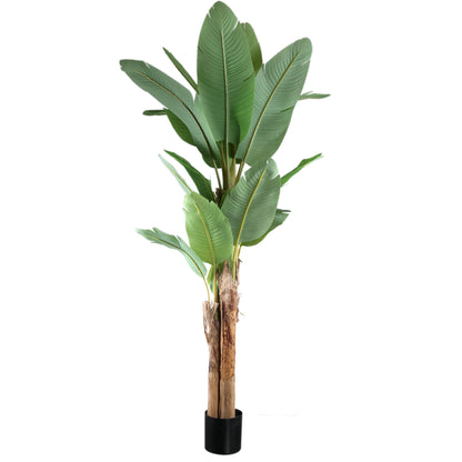 Tree Green PE Real Touch Banano L 170x163x280cm PTMD