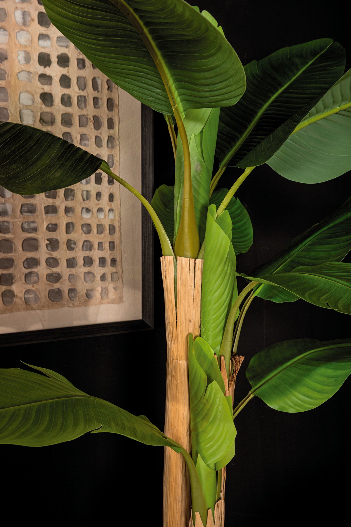 Tree Green PE Real Touch Banano L 170x163x280cm PTMD