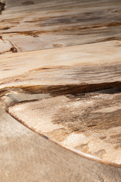 Tavolino Deeba in legno pietrificato 130 PTMD