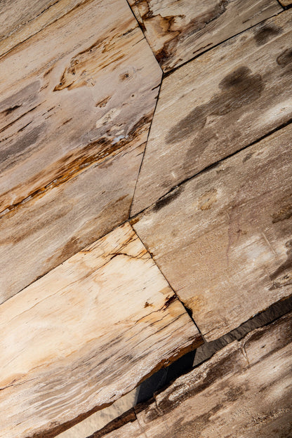 Tavolino Deeba in legno pietrificato 95 PTMD