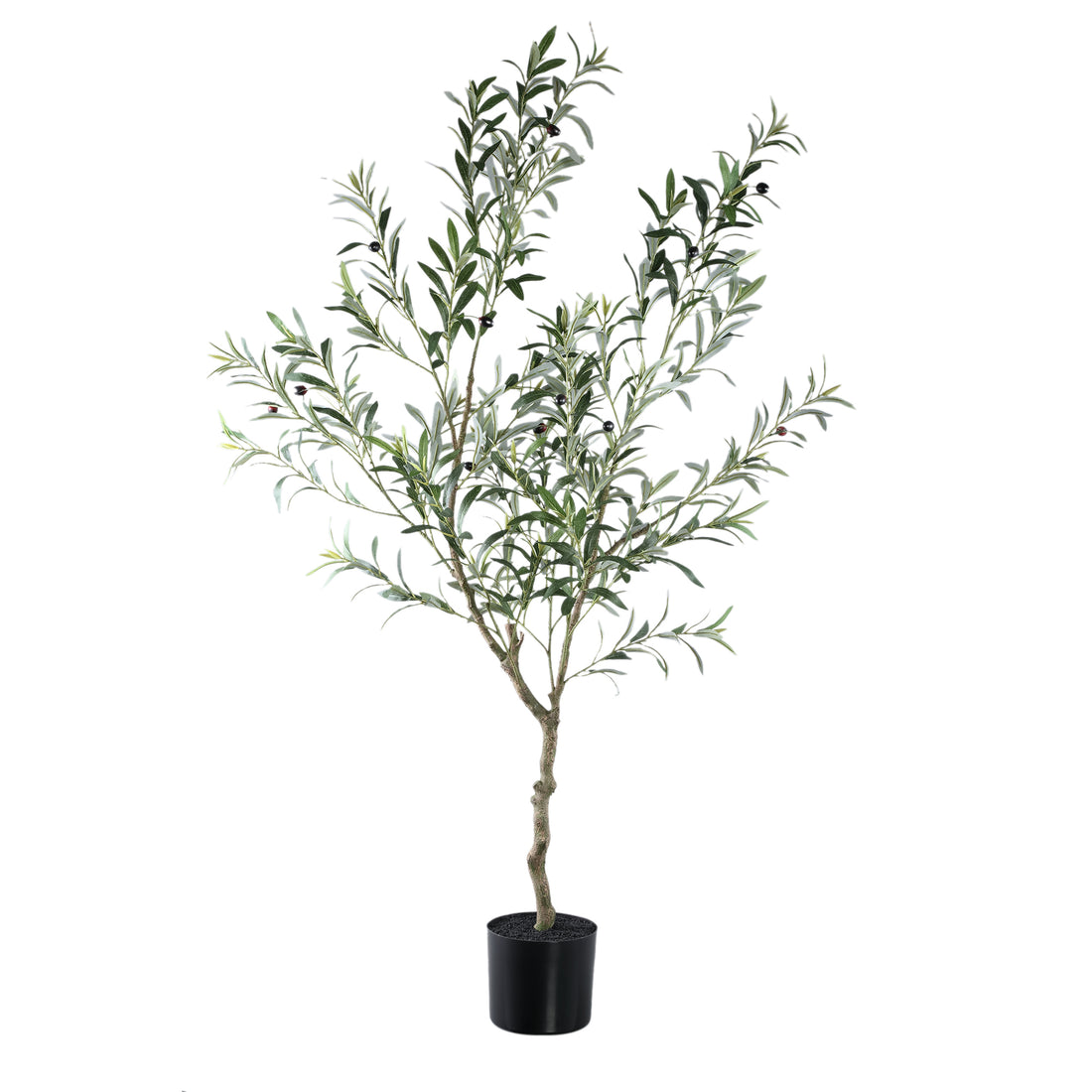 Albero Oliva Verde in Vaso L 110x70x156cm PTMD