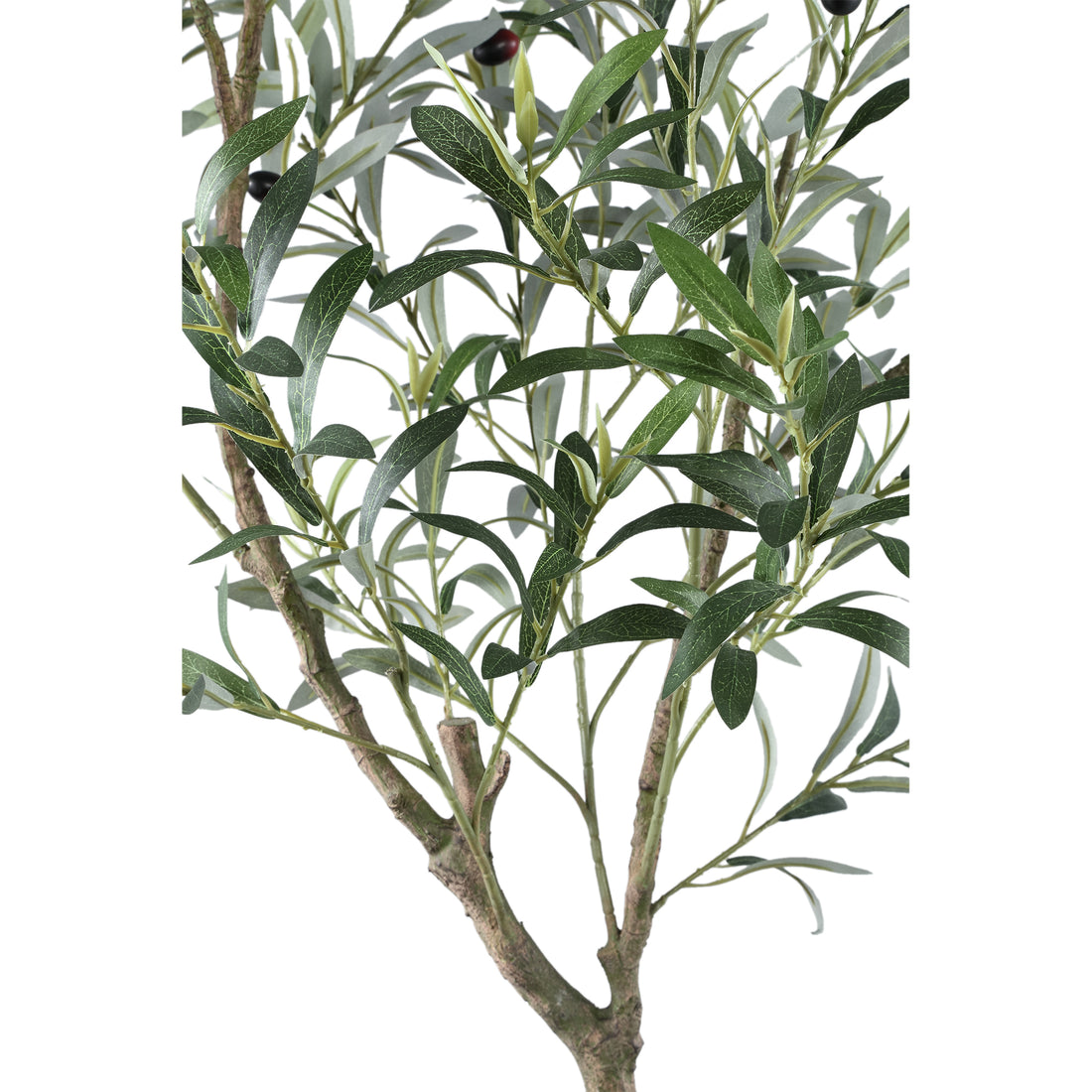 Albero Oliva Verde in Vaso L 110x70x156cm PTMD