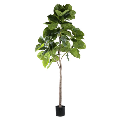 Albero verde Ficus in vaso L 118x 85x183cm PTMD