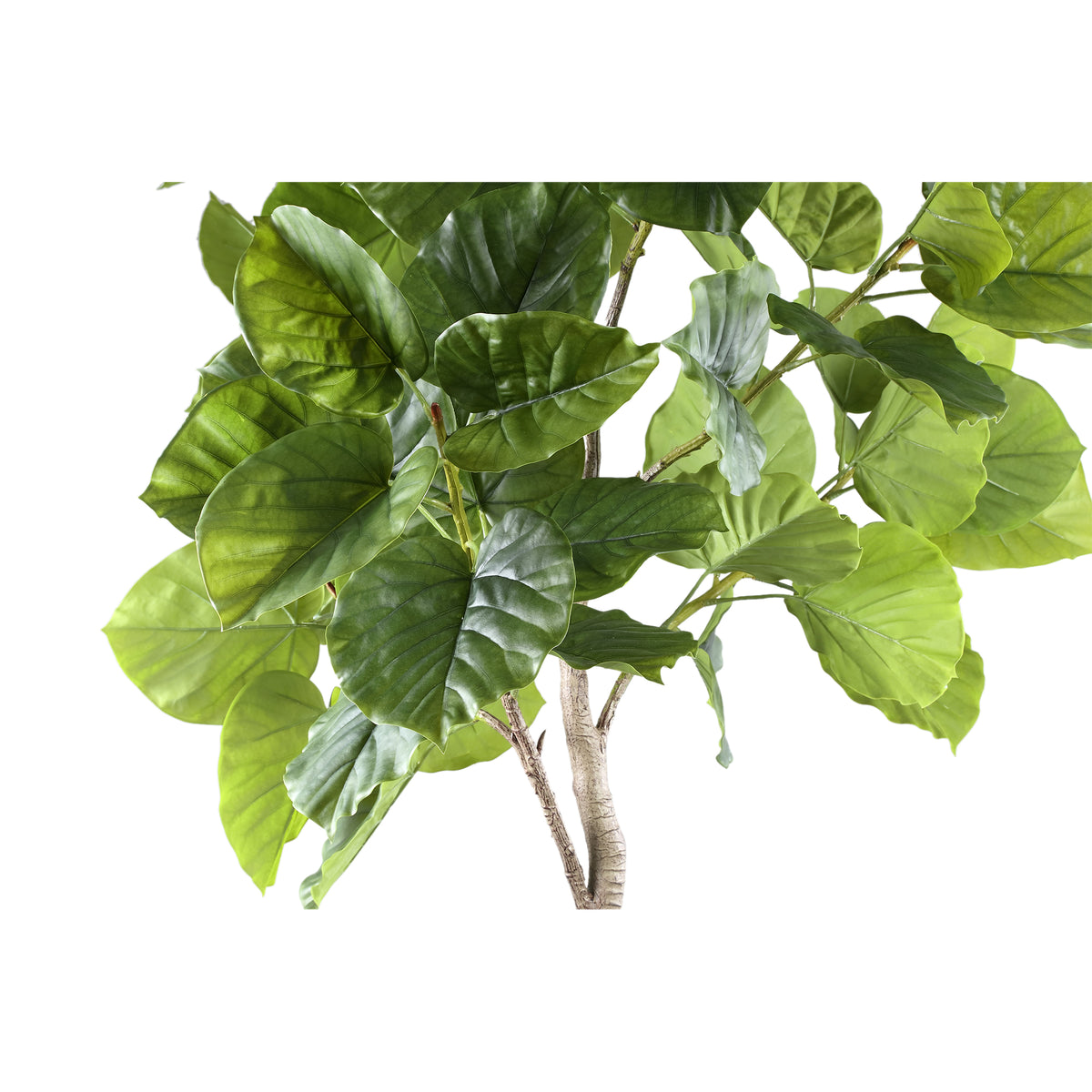 Albero verde Ficus in vaso L 118x 85x183cm PTMD