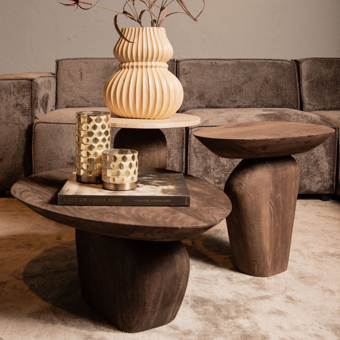 Tavolino da salotto Harshad in legno di mango marrone, forme organiche PTMD