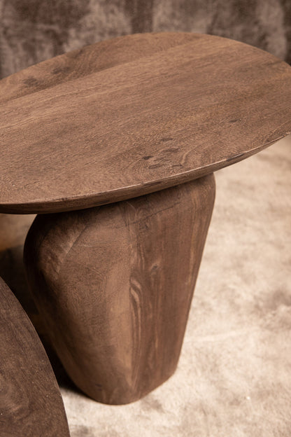 Tavolino Harshad in legno di mango marrone, forme organiche, PTMD