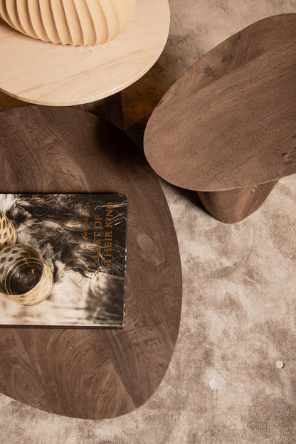 Tavolino Harshad in legno di mango marrone, forme organiche, PTMD