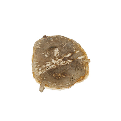 Tavolino da salotto Kayo Naturale Legno pietrificato 3 Gambe Alto PTMD