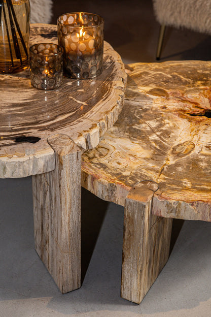 Tavolino da salotto Kayo Legno pietrificato naturale 3 gambe basso PTMD