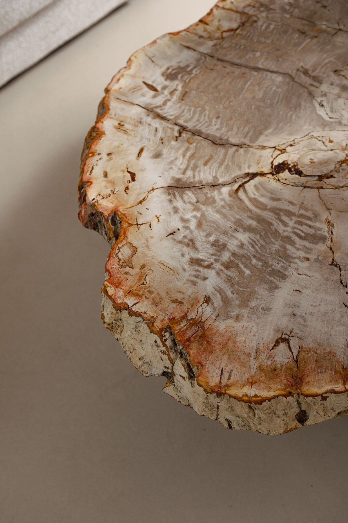 Tavolino da salotto Yoel Legno pietrificato naturale Base in ottone anticato PTMD