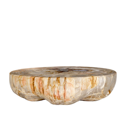 Espositore a semispfera in legno pietrificato naturale Bethe L PTMD