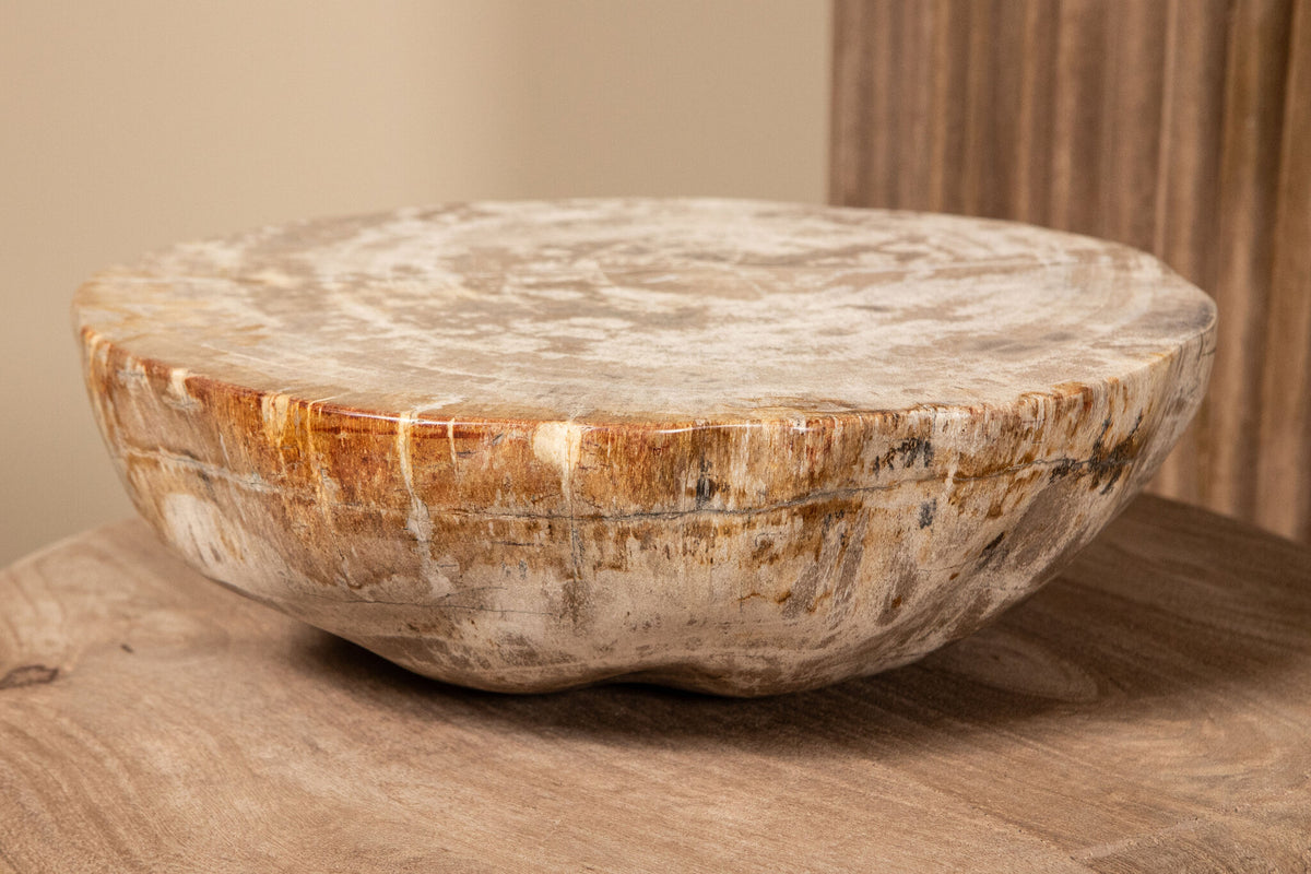 Espositore a semispfera in legno pietrificato naturale Bethe L PTMD