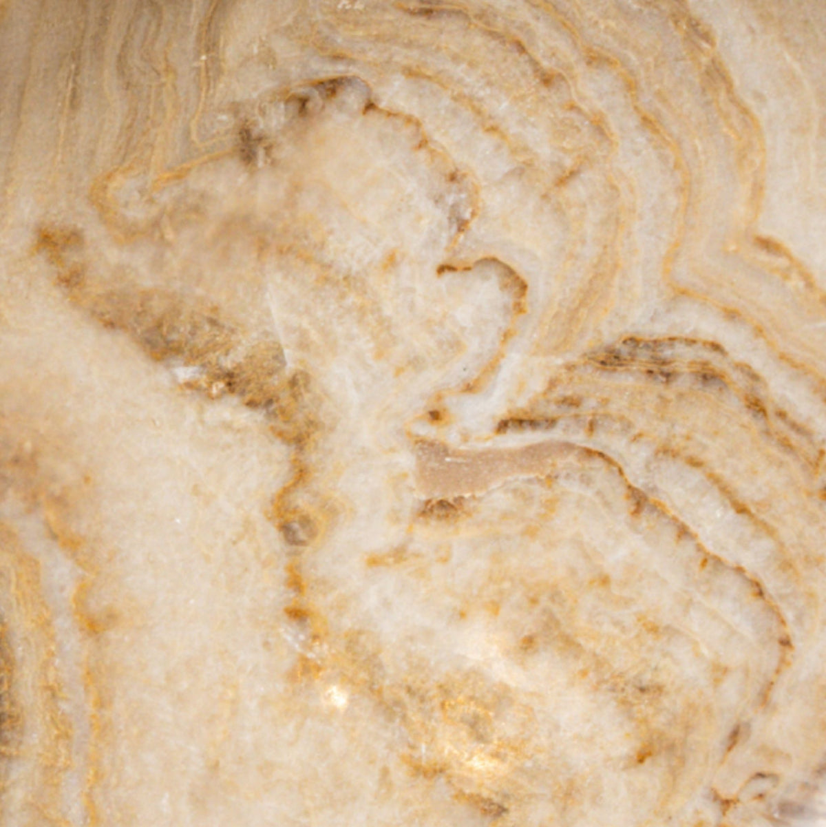 Draya Onyx White Ciotola Grande Rotonda Organica PTMD