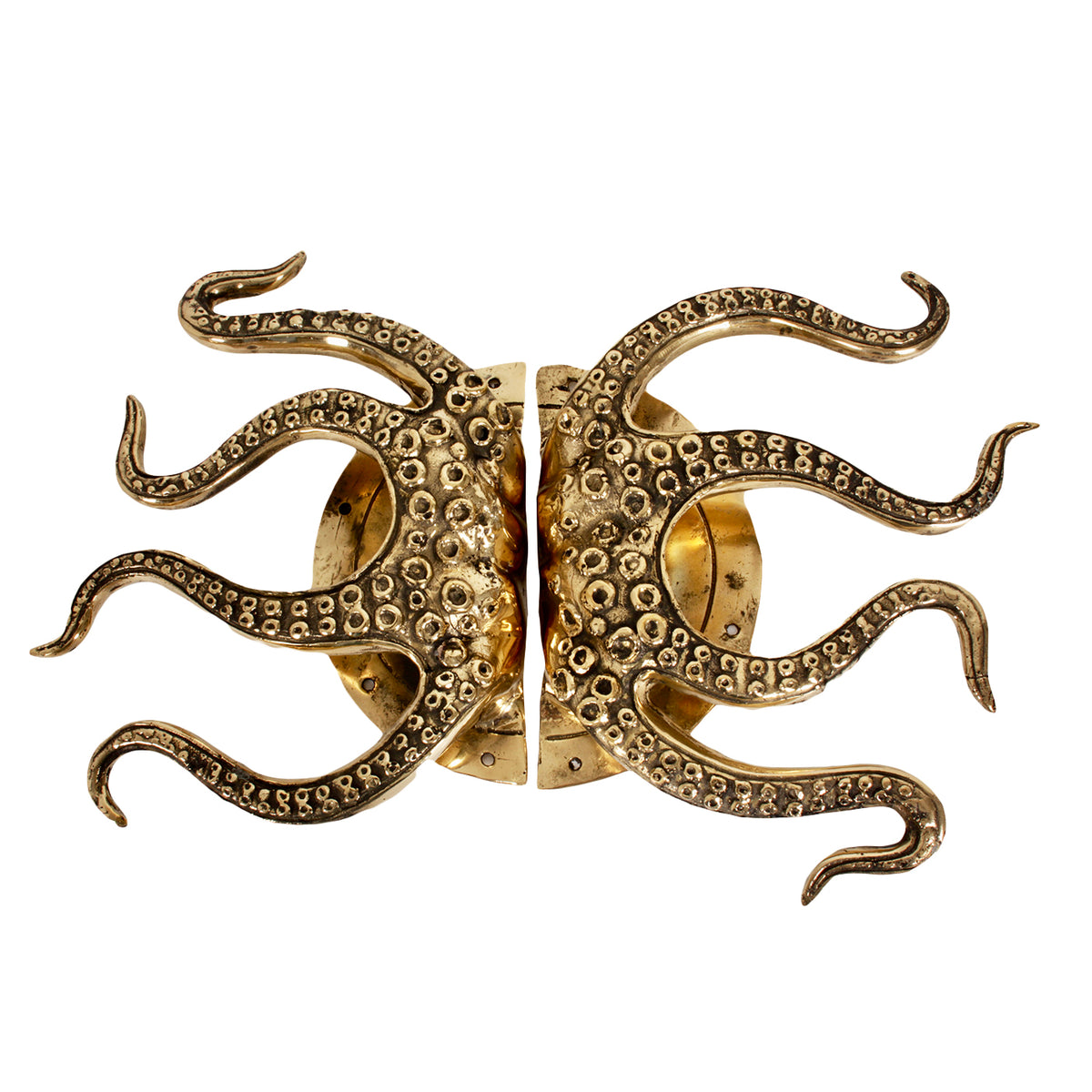 Set di 2 pomelli per porte in ottone Octopus Pole To Pole