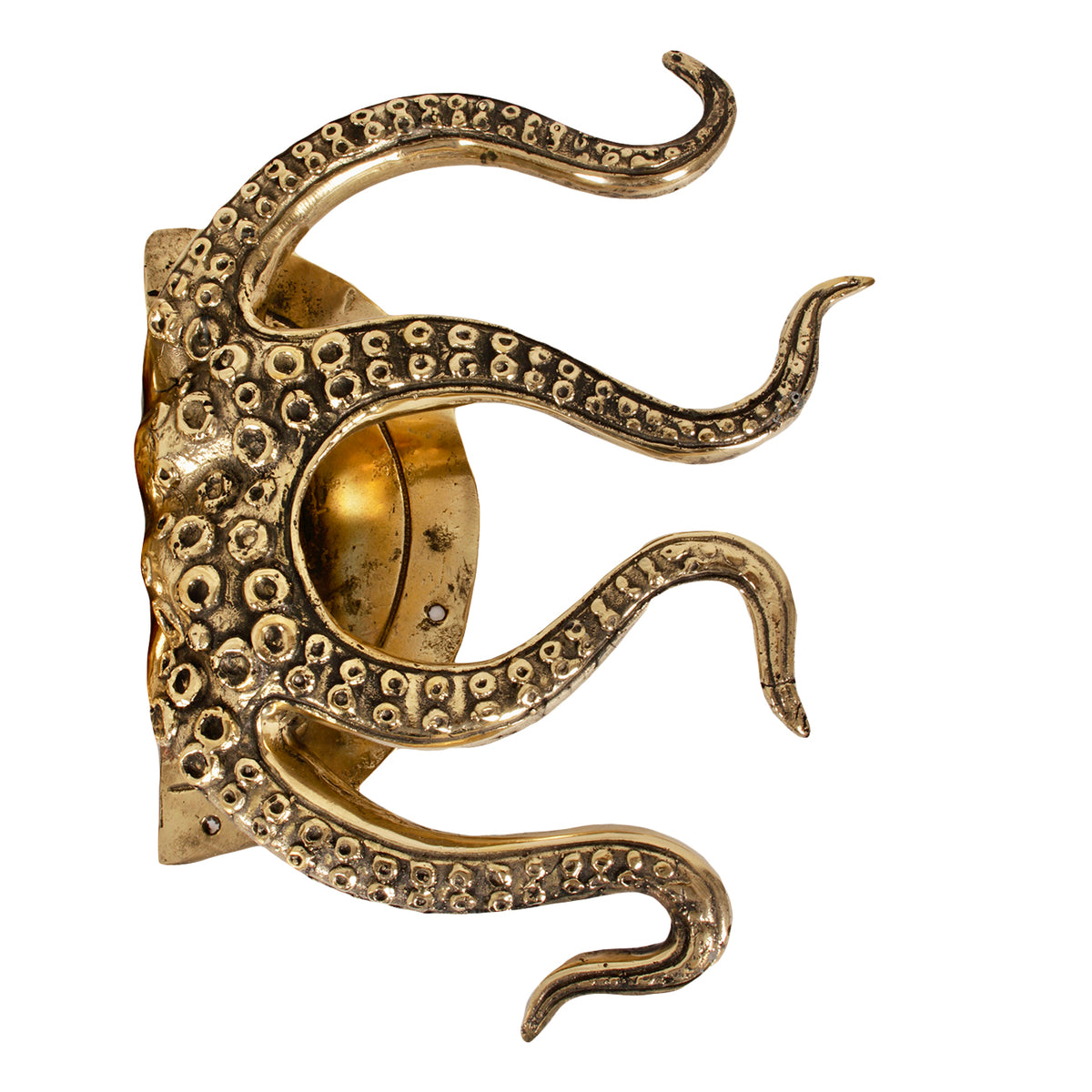 Set di 2 pomelli per porte in ottone Octopus Pole To Pole