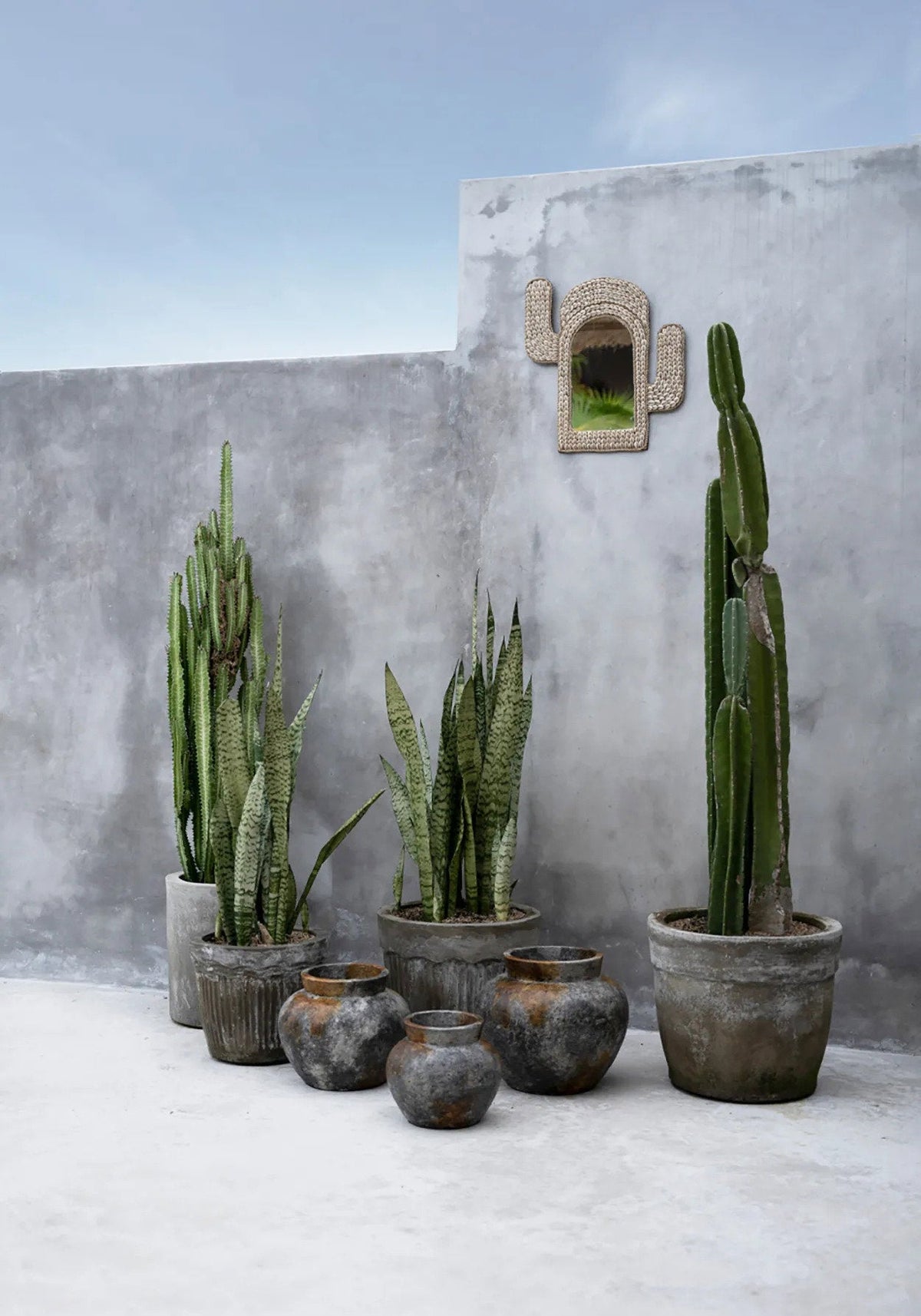Lo specchio Cactus Shell - Bianco 40x38cm Bazar Bizar