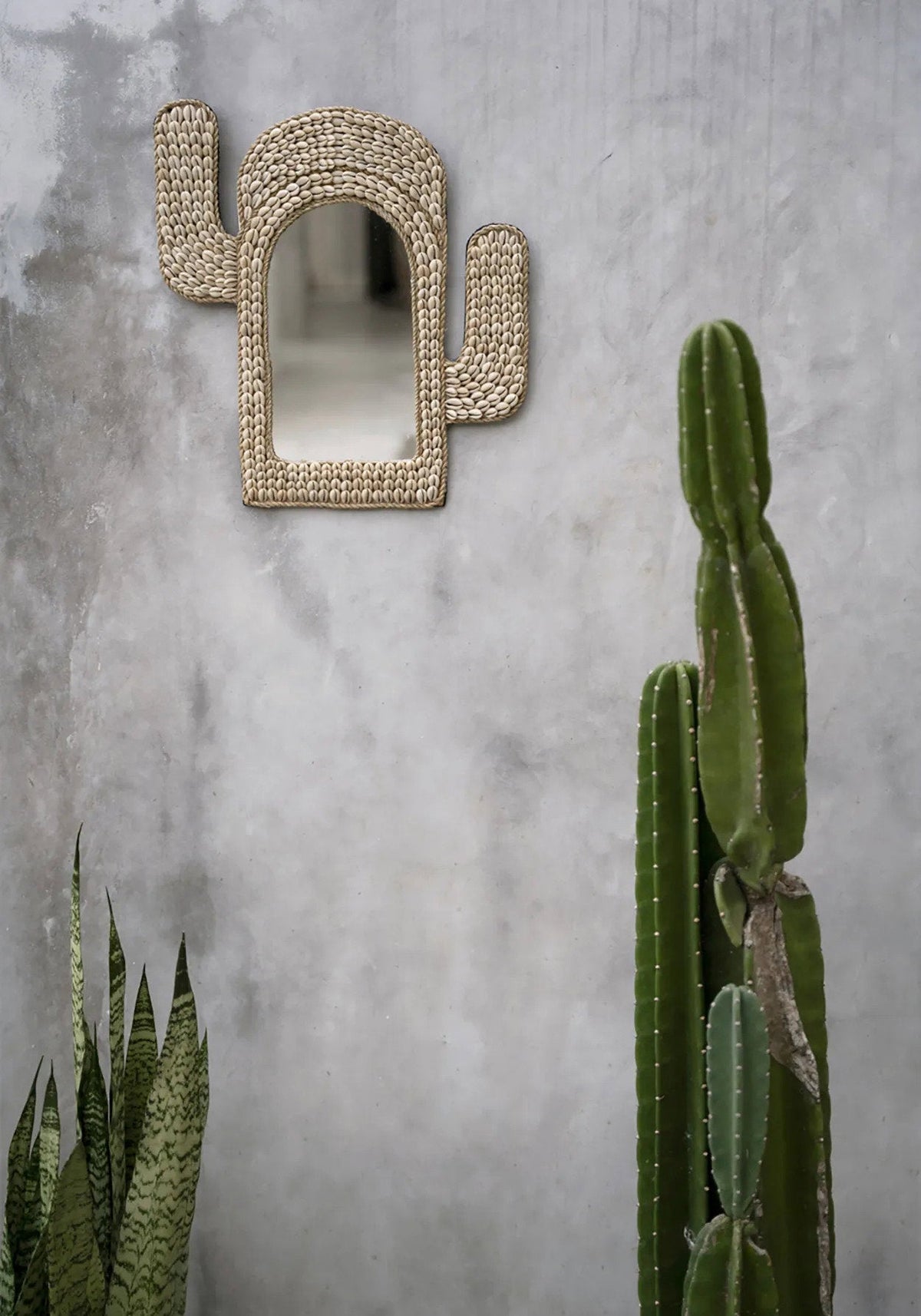 Lo specchio Cactus Shell - Bianco 40x38cm Bazar Bizar