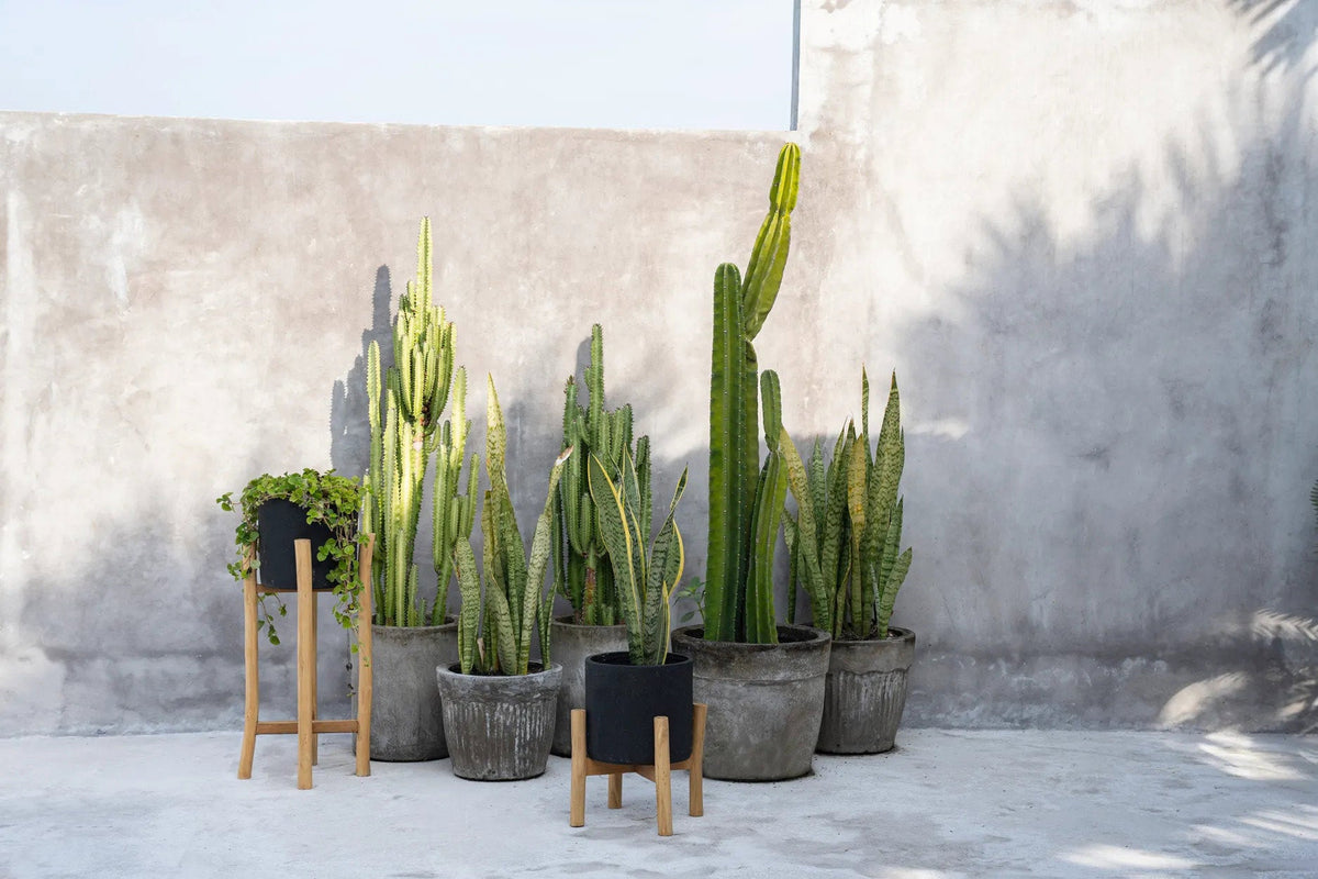 Vaso Alto Charcoal Nero Small Bazar Bizar
