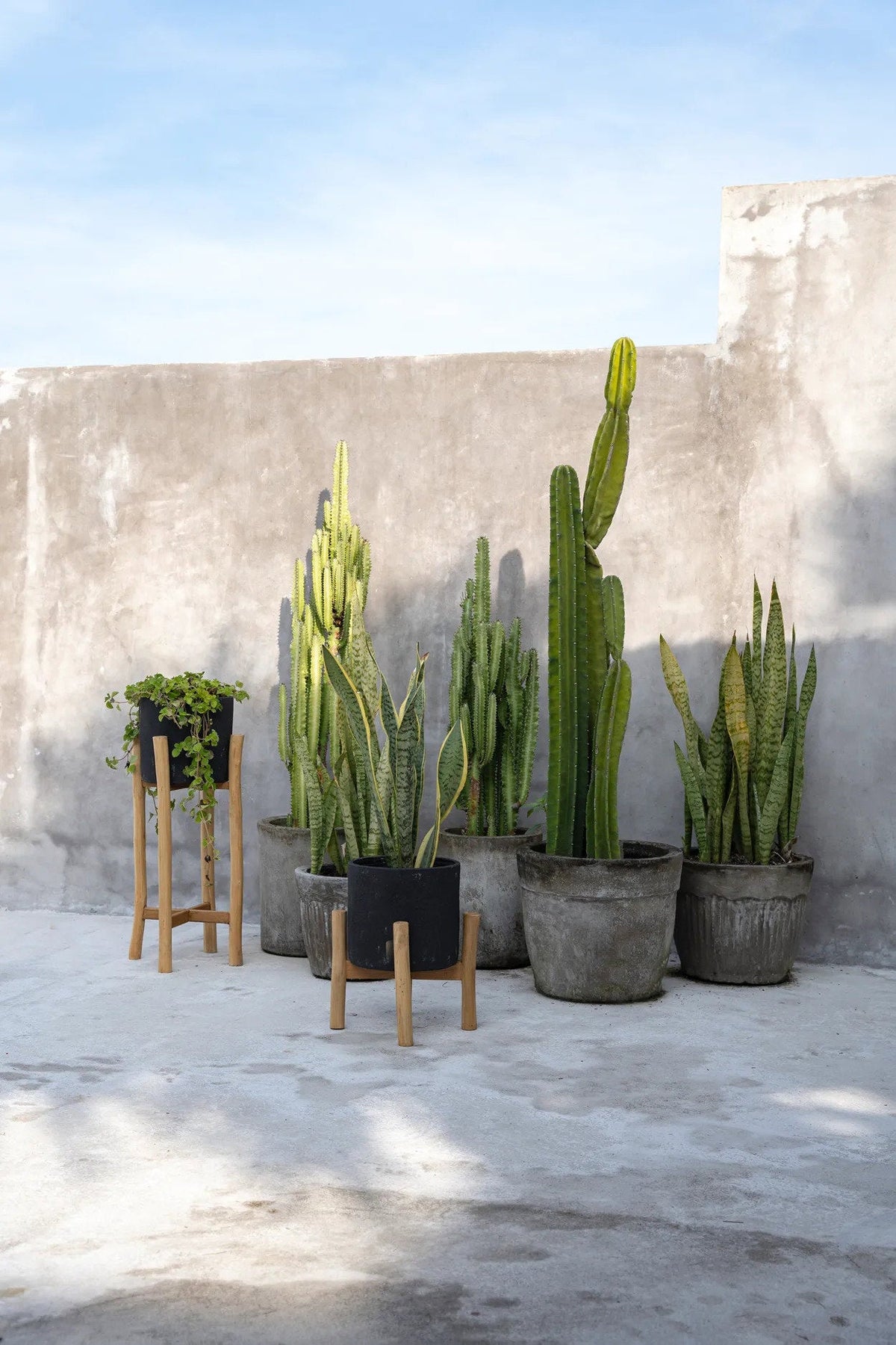 Vaso Alto Charcoal Nero Small Bazar Bizar