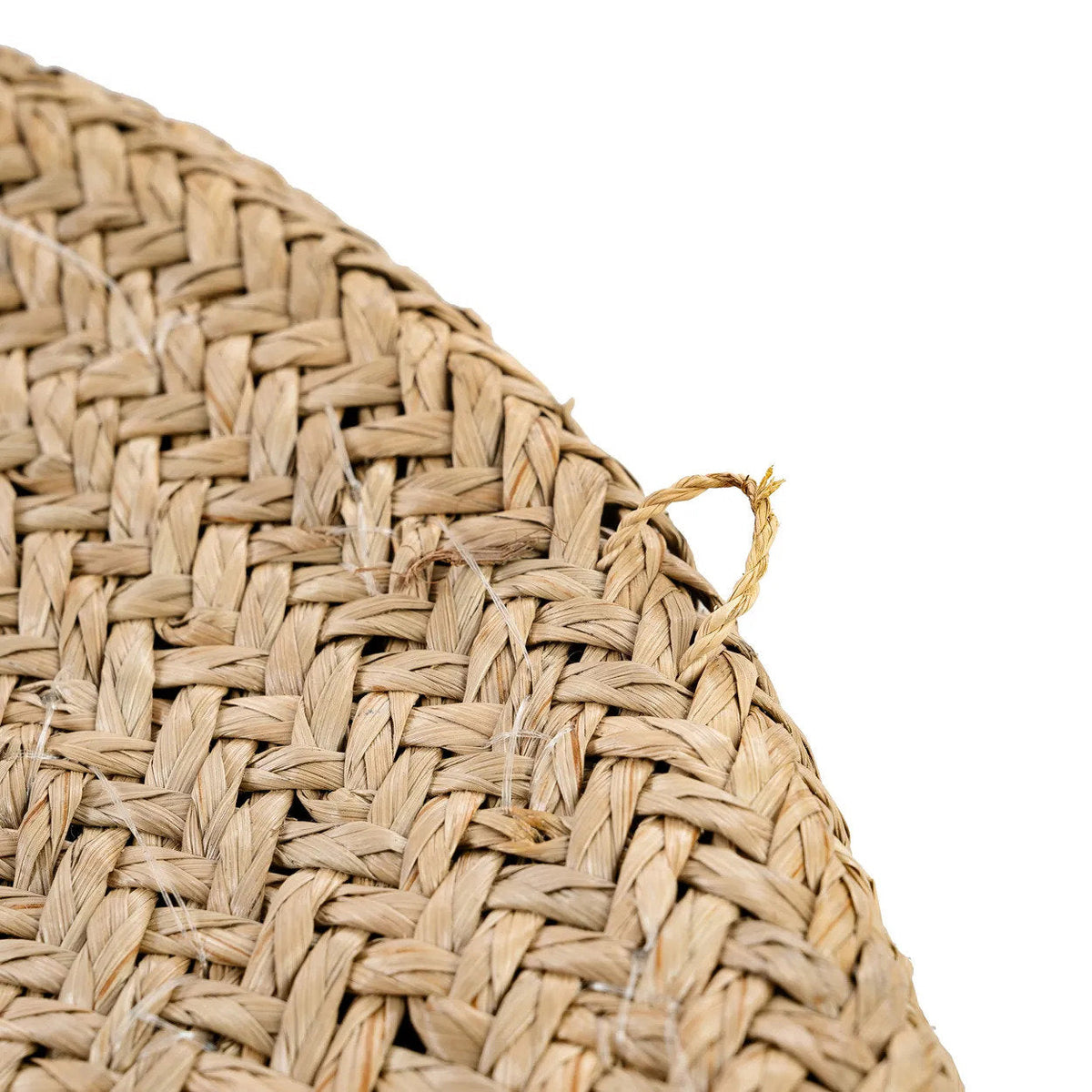 Il piatto Costa Shell - Bianco naturale - M Bazar Bizar