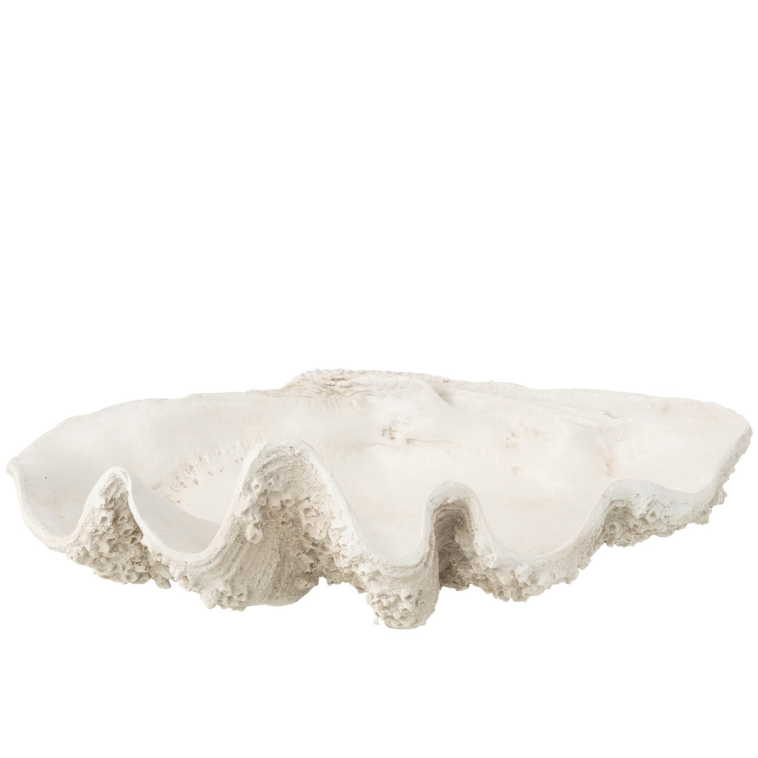 Vassoio decorativo con conchiglia marina in resina bianco spezzato Large J-Line