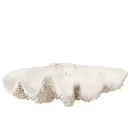 Vassoio decorativo con conchiglia marina in resina bianco spezzato Large J-Line