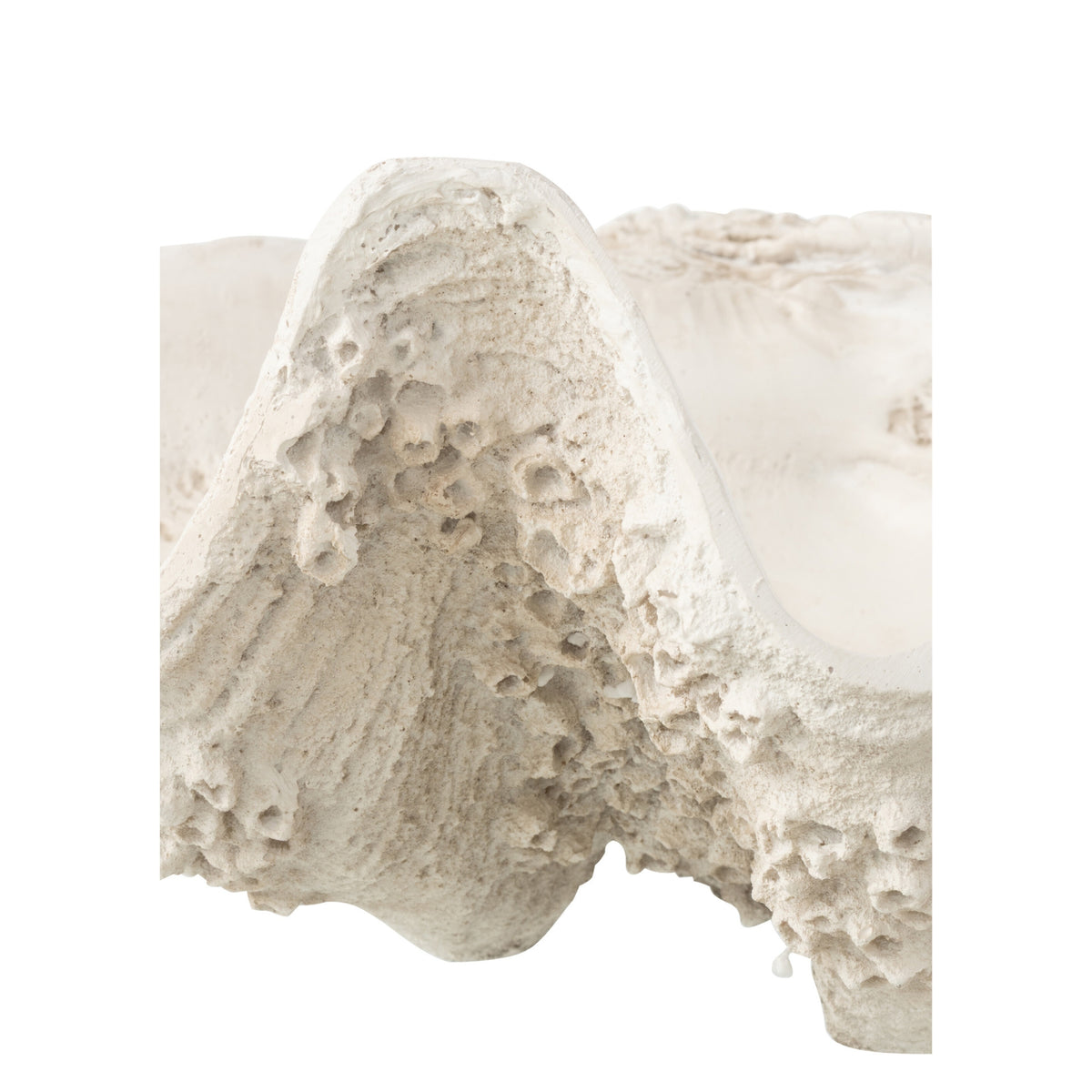 Vassoio decorativo con conchiglia marina in resina bianco spezzato Large J-Line