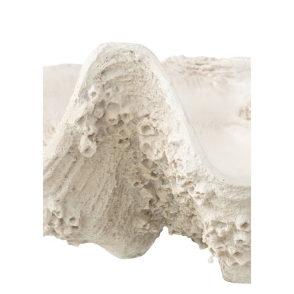 Vassoio decorativo con conchiglia marina in resina bianco spezzato Large J-Line