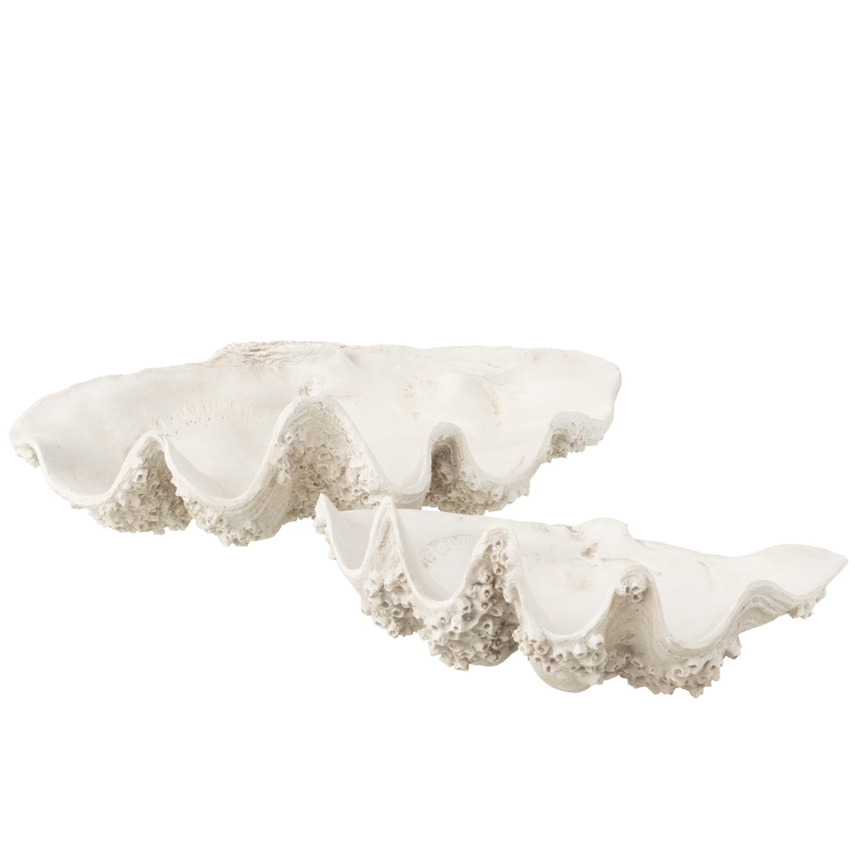 Vassoio decorativo con conchiglia marina in resina bianco spezzato Large J-Line