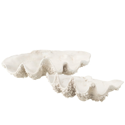 Vassoio decorativo con conchiglia marina in resina bianco spezzato Large J-Line